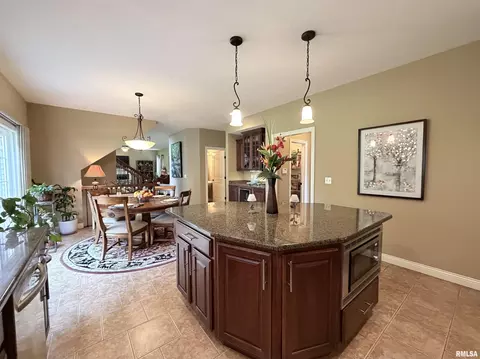 Kitchen - 11003 N Moonstone Ct, Dunlap, IL 61525 photo 4 of 6