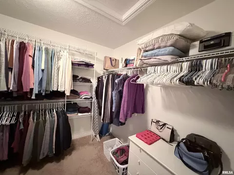 Other - 11003 N Moonstone Ct, Dunlap, IL 61525 photo 10 of 19