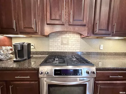 Kitchen - 11003 N Moonstone Ct, Dunlap, IL 61525 photo 6 of 6