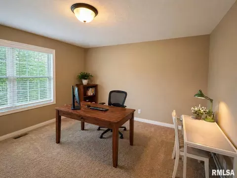 Other - 11003 N Moonstone Ct, Dunlap, IL 61525 photo 11 of 19