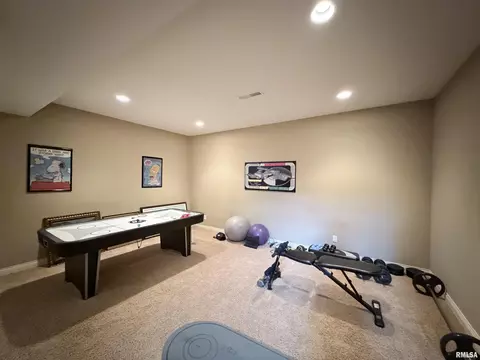 Other - 11003 N Moonstone Ct, Dunlap, IL 61525 photo 14 of 19