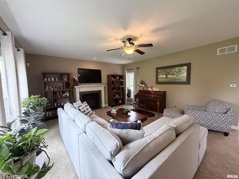 Living - 11003 N Moonstone Ct, Dunlap, IL 61525 photo 3 of 3
