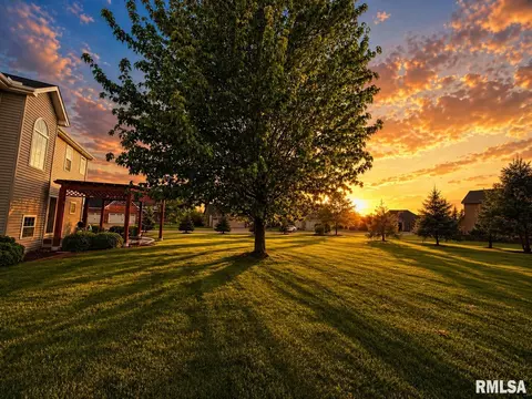Exterior - 11003 N Moonstone Ct, Dunlap, IL 61525 photo 5 of 14