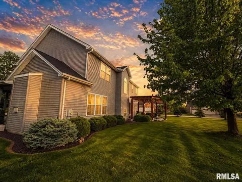 Exterior - 11003 N Moonstone Ct, Dunlap, IL 61525 photo 4 of 14