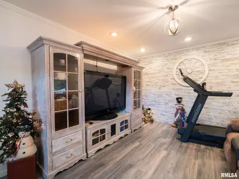 Other - 16177 E Blackfoot Dr, Cuba, IL 61427 photo 10 of 16