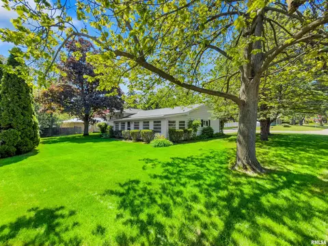 Exterior - 1312 W Treeline Ct, Dunlap, IL 61525 photo 5 of 9
