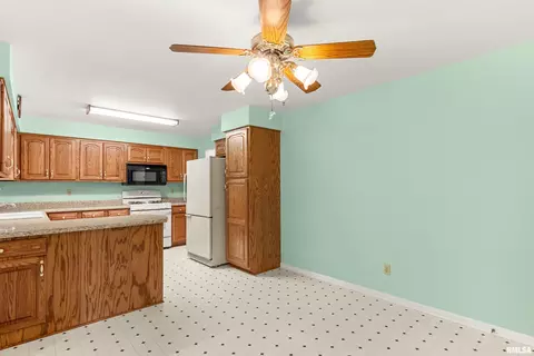Other - 1312 W Treeline Ct, Dunlap, IL 61525 photo 1 of 8