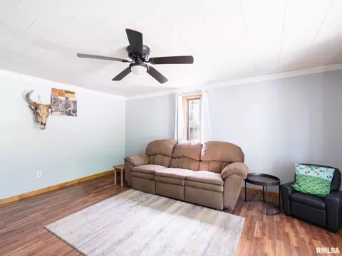 Living - 301 E Pearl St, Danvers, IL 61732 photo 3 of 6