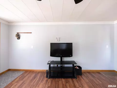 Living - 301 E Pearl St, Danvers, IL 61732 photo 6 of 6