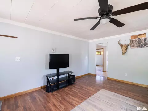 Living - 301 E Pearl St, Danvers, IL 61732 photo 5 of 6