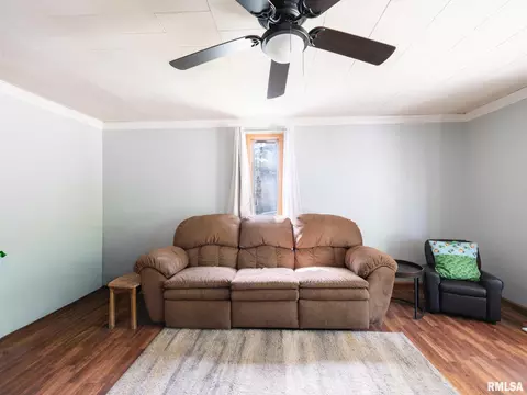 Living - 301 E Pearl St, Danvers, IL 61732 photo 4 of 6