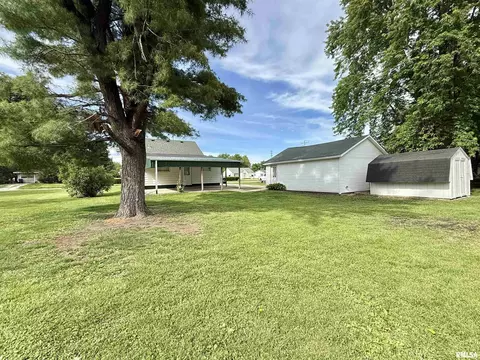 Exterior - 1478 E Chestnut St, Canton, IL 61520 photo 8 of 9