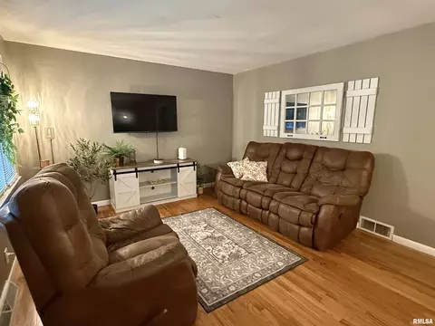Living - 1035 E Myrtle St, Canton, IL 61520 photo 3 of 3