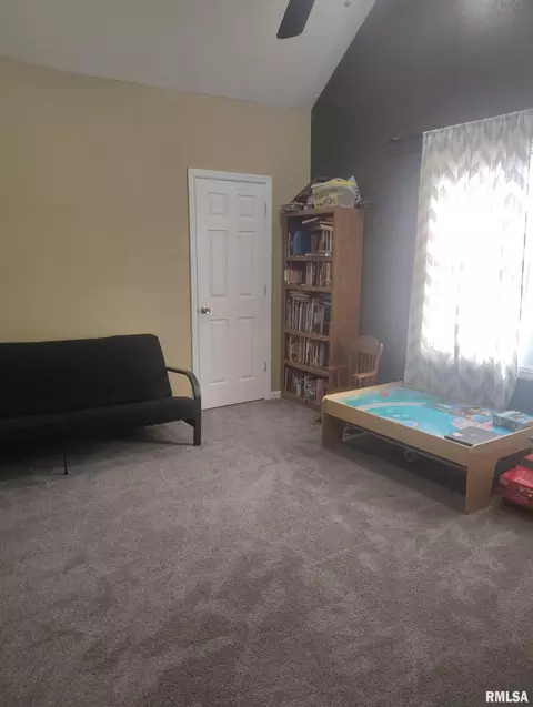 Other - 362 E Ash St, Canton, IL 61520 photo 11 of 24