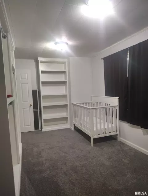 Other - 362 E Ash St, Canton, IL 61520 photo 19 of 38