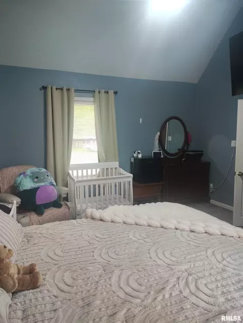 Bedroom - 362 E Ash St, Canton, IL 61520 photo 4 of 9