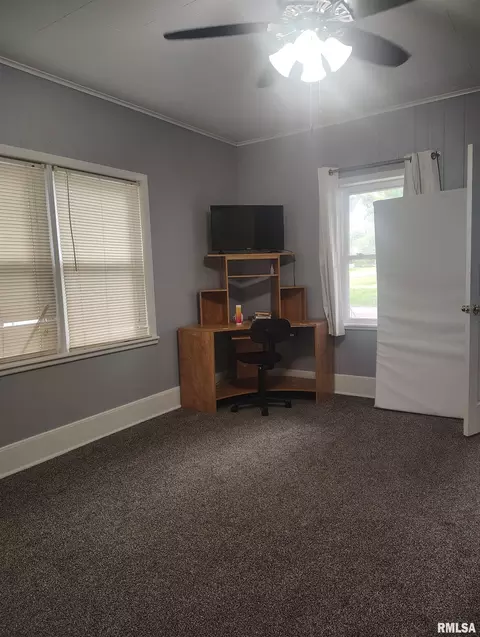 Other - 362 E Ash St, Canton, IL 61520 photo 31 of 38