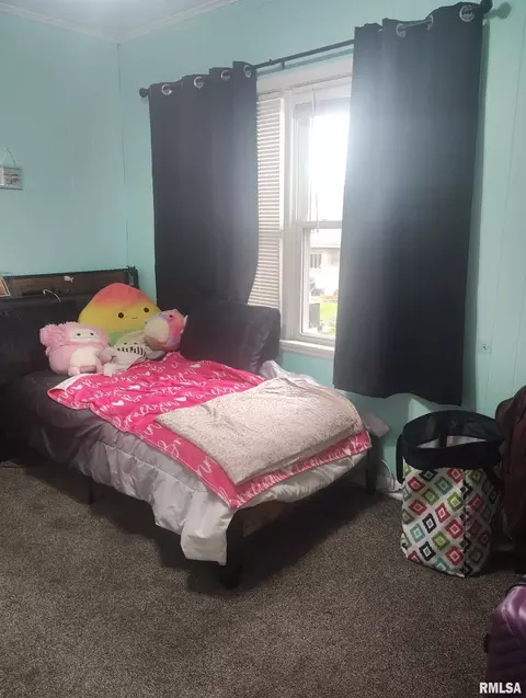 Bedroom - 362 E Ash St, Canton, IL 61520 photo 6 of 9