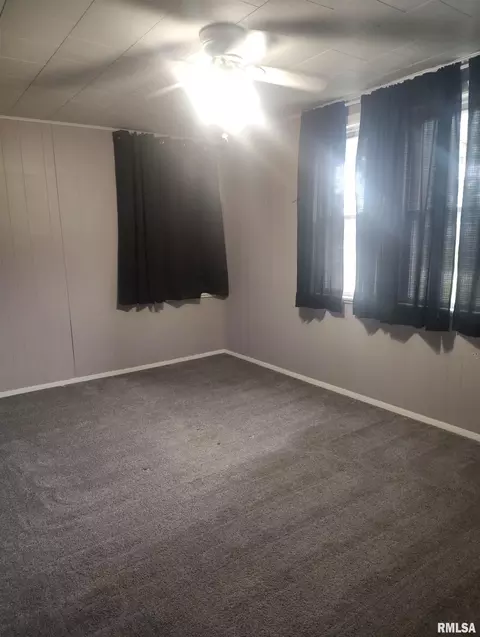 Other - 362 E Ash St, Canton, IL 61520 photo 15 of 38