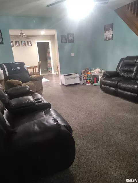 Other - 362 E Ash St, Canton, IL 61520 photo 8 of 24