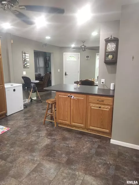 Other - 362 E Ash St, Canton, IL 61520 photo 5 of 24