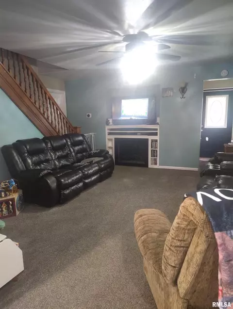 Other - 362 E Ash St, Canton, IL 61520 photo 7 of 24