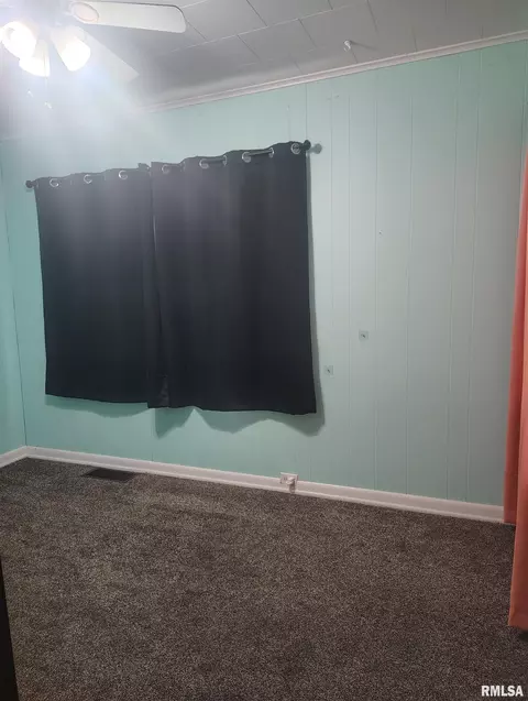 Other - 362 E Ash St, Canton, IL 61520 photo 28 of 38