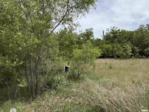 0 S Robinia Grv, Havana, IL 62644