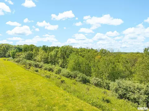S Walnut Point Drive, Mapleton, IL 61547 photo 41