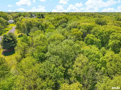 S Walnut Point Drive, Mapleton, IL 61547 photo 25