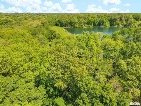 S Walnut Point Drive, Mapleton, IL 61547 photo 11