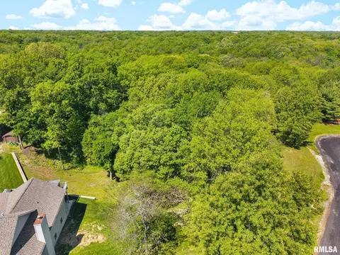 S Walnut Point Drive, Mapleton, IL 61547 photo 7