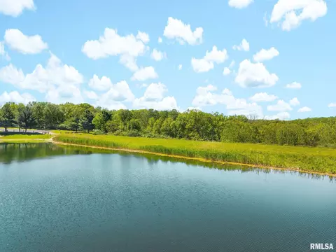 S Walnut Point Drive, Mapleton, IL 61547 photo 44
