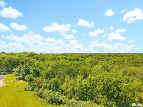 S Walnut Point Drive, Mapleton, IL 61547 photo 45