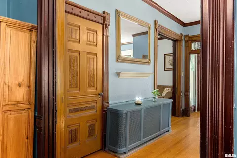 Entry Way - 207 W 3rd St, Delavan, IL 61734 photo 7 of 15