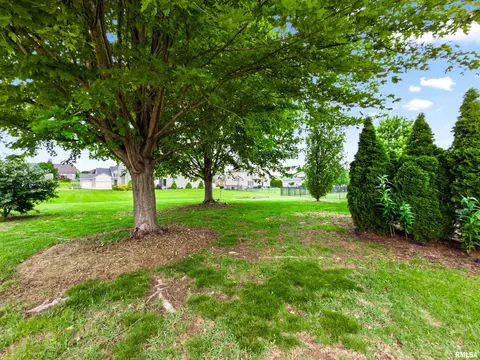 Exterior - 11517 N Dunmore Dr, Dunlap, IL 61525 photo 6 of 6