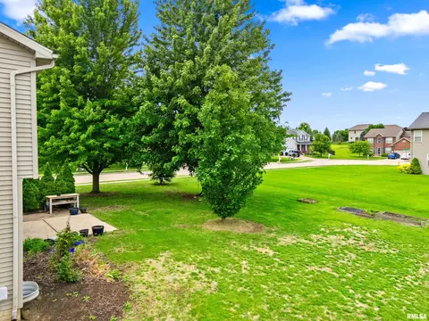 Exterior - 11517 N Dunmore Dr, Dunlap, IL 61525 photo 5 of 6