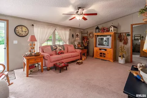 Living - 1380 Woolard Rd, Eldorado, IL 62930 photo 2 of 5
