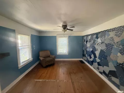 Other - 310 Forest St, Anna, IL 62906 photo 3 of 6