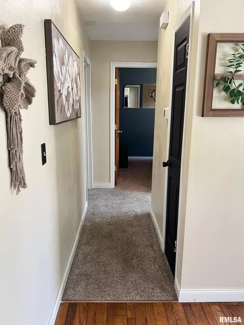 Entry Way - 307 Tower St, Eureka, IL 61530 photo 1 of 4