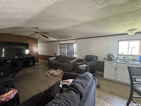 Living - 37 Ava Rd, Murphysboro, IL 62966 photo 2 of 2