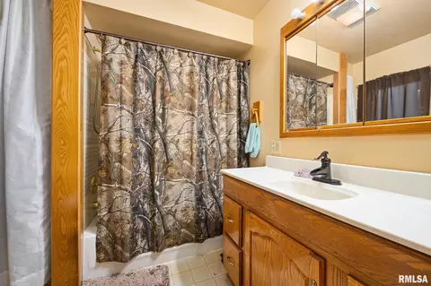 Bath - 1014 Bricktown Rd, Lowpoint, IL 61545 photo 1 of 1