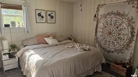 Bedroom - 1055 Elm St, Canton, IL 61520 photo 3 of 4