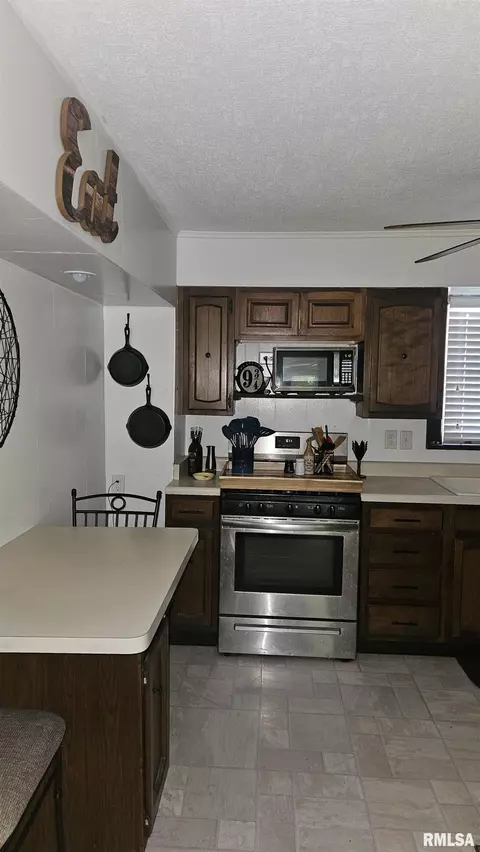 Kitchen - 1055 Elm St, Canton, IL 61520 photo 3 of 5