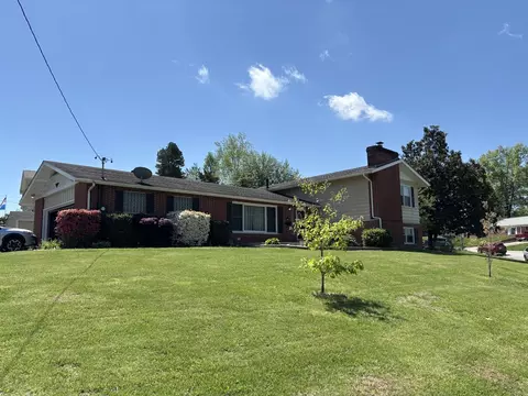 Exterior - 217 Apple Ln, Anna, IL 62906 photo 3 of 5