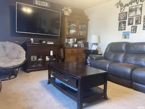 Living - 217 Apple Ln, Anna, IL 62906 photo 2 of 5