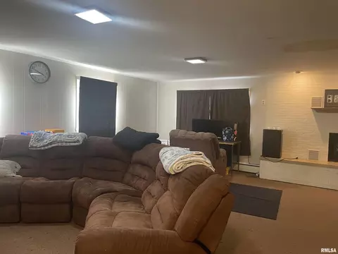 Other - 217 Apple Ln, Anna, IL 62906 photo 5 of 8