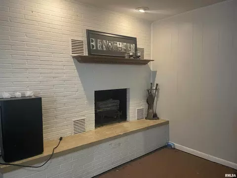 Living - 217 Apple Ln, Anna, IL 62906 photo 5 of 5