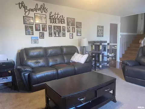 Other - 217 Apple Ln, Anna, IL 62906 photo 1 of 8