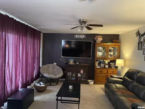 Living - 217 Apple Ln, Anna, IL 62906 photo 1 of 5